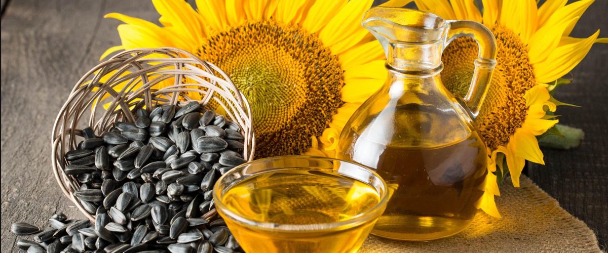 PlayStation 4 Pro 1TB Black + FIFA 20